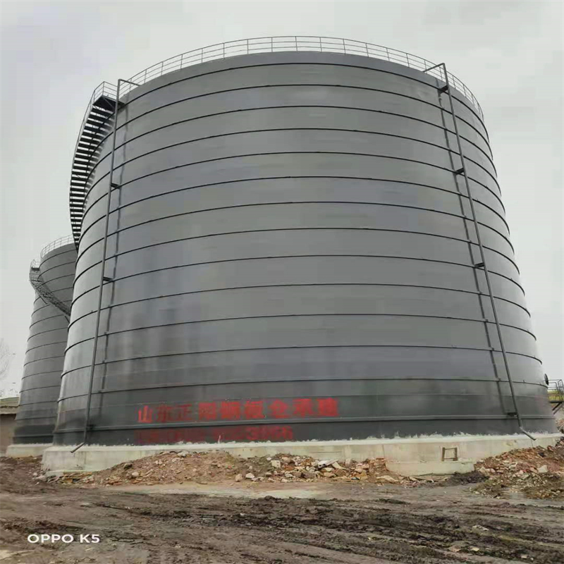 瑞丽3万吨大型钢板库