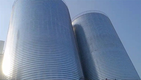 瑞丽2座混凝土高架卷板仓